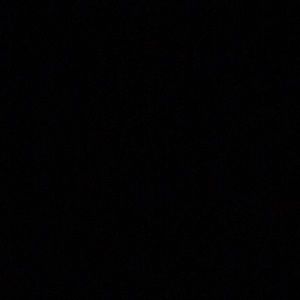 Meet your Posher, Maddy